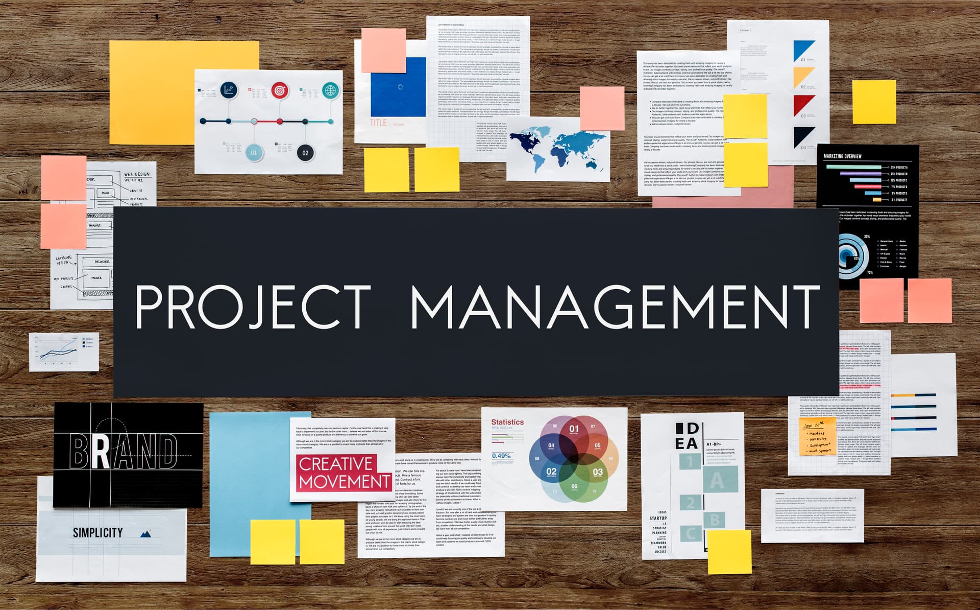 Program & project management illustration