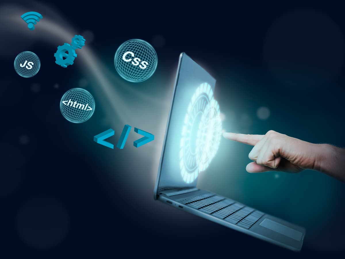 Web Design & Development
